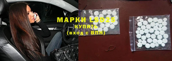 ГАЛЛЮЦИНОГЕННЫЕ ГРИБЫ Аркадак