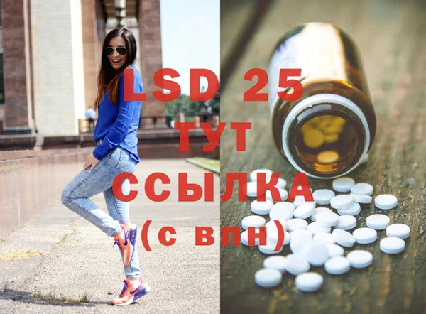 ГАЛЛЮЦИНОГЕННЫЕ ГРИБЫ Аркадак