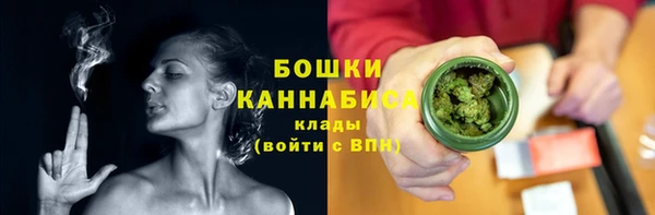 ГАЛЛЮЦИНОГЕННЫЕ ГРИБЫ Аркадак