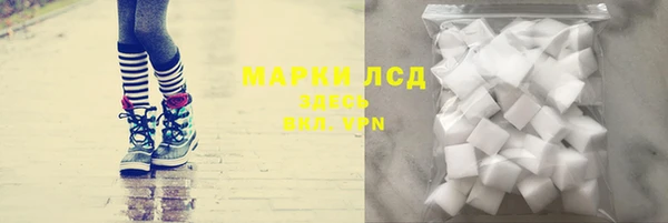 ГАЛЛЮЦИНОГЕННЫЕ ГРИБЫ Аркадак