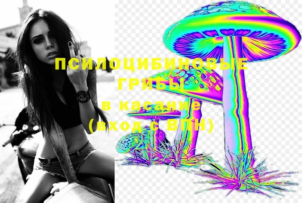 ГАЛЛЮЦИНОГЕННЫЕ ГРИБЫ Аркадак
