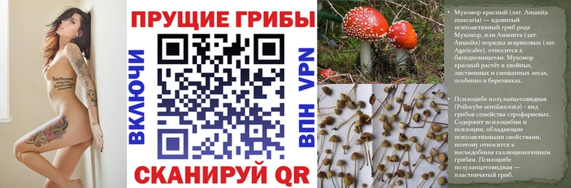 Галлюциногенные грибы мухоморы  shop как зайти  Ясногорск 